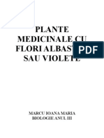 Plante Cu Flori Albastre Sau Violete