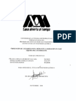 Obtenci~n de Ciclohexanona Mediante La Oxidaci~n en Fase