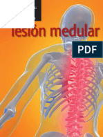 Lesion Medular