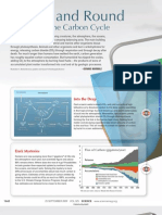 Round and Round: A Guide To The Carbon Cycle