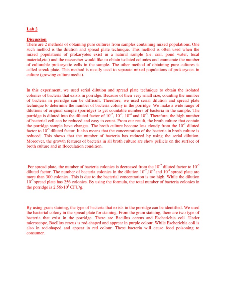Lab Report Bacteria PDF Bacillus Bacteria