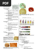 Microbio Lab 8