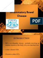 inflammatory bowel disease IBD