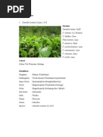 Download Theaceae Malvaceae Passifloraceae by Nur Azizah SN164627049 doc pdf