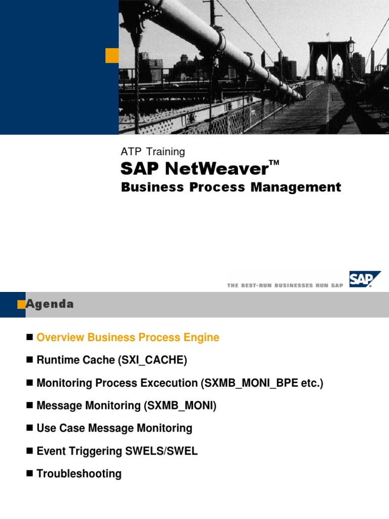 SAP Message Monitoring Overview | PDF | Business Process | Workflow