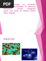 Shigelose -apresentação PRONTAAAAA