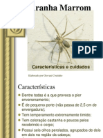 Cuidados com a Aranha Marrom em até