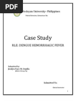 Download Dengue Fever Case Study by Jenilyn Faye Orpilla SN164636729 doc pdf