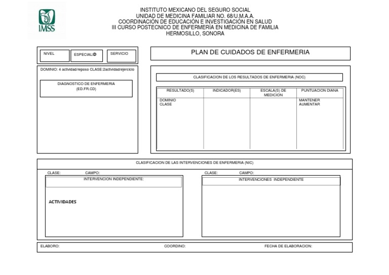 Plan de Cuidados Formato | PDF