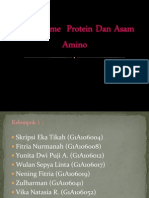 Protein Dan Asam Amino