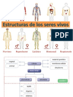 Estructuras de Los Seres Vivos