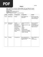 Download ktplan styrke by Lindsey Bright SN164673344 doc pdf