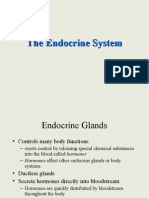 Introduction To Endocrine System