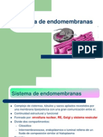 sistemadeendomembranas-121210132745-phpapp01