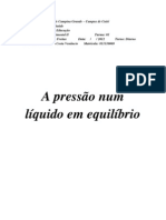 A Pressão Num Líquido em Equilíbrio