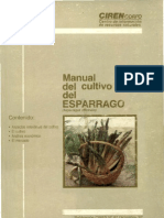 124975173-esparragos