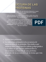 Estructura de Las Proteinas