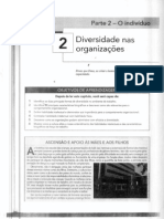 Texto 4 Parte 2 O Indivíduo Cap 2 Diversidade Nas Orgs (ROBBINS, Et Al 2010)