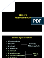 4_Mycobacterium