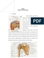 Dislokasi Shoulder Joint