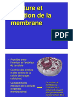 Membrane Plasmique