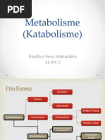 Download PPT KATABOLISME by Radityo Heru Mahardiko SN164806892 doc pdf