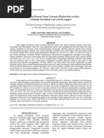 Download Untitled by anon_223026154 SN164820392 doc pdf