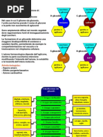 Glicosidi Cianogenetici