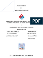TRAINING AND SELECTION PROJECT REPORT AT DOMINOS