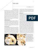 Anatomy of Mitral Valve