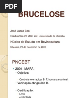 Bruce Lose