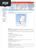 Tendinite Patelar (Joelho de Saltador)