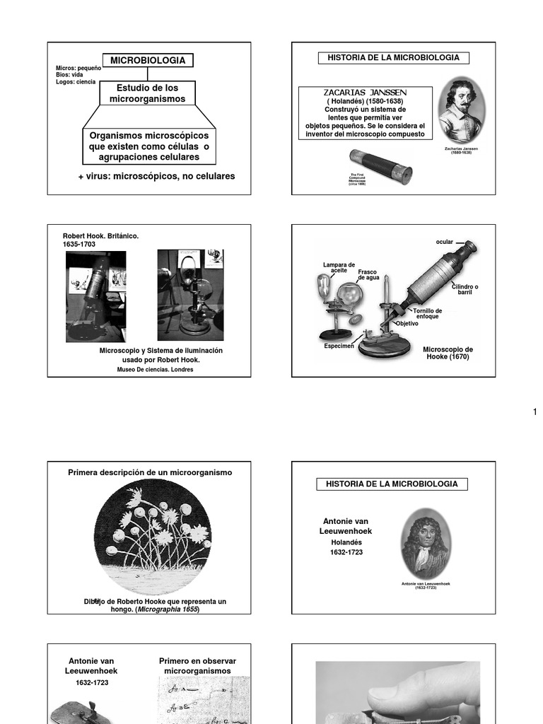 Historia y fundamentos de la microbiología | PDF | Microbiología | Luis ...