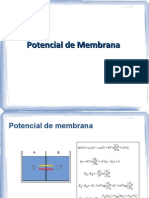 03Potencial de Membrana