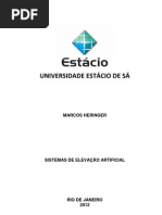 elevação artifical Final MARCOS HERINGER