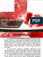 Anemia Dlm Kehamilan