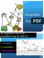 Energy-Roles-In-Ecosystems-Notes-7 12b
