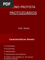 Protozoários