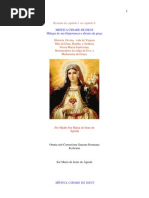 Resumo Do Livro - Cidade Mistica de Deus