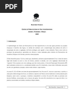 relatório técnico sítio maravilha araçuaí - jan a mar 09