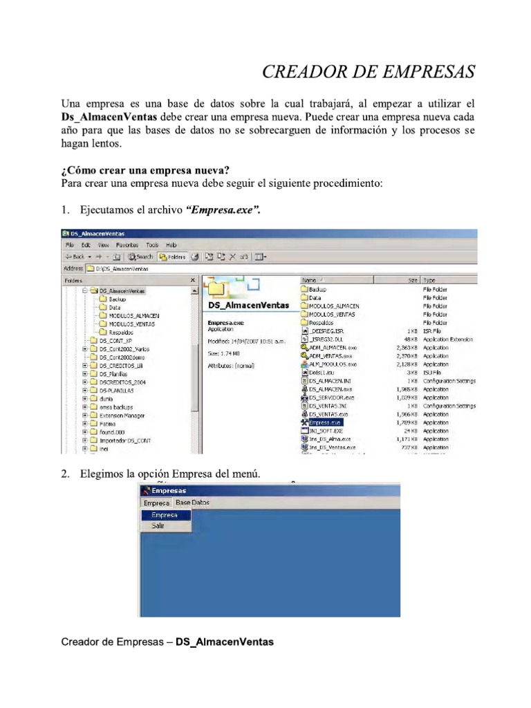 Manual Ds Almacen Ventasok | PDF | Organisation