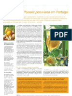 Producao Physalis Peruviana em Portugal