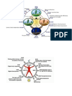 Circadian Rhythm