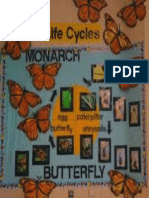 Bulletin Board Butterflies