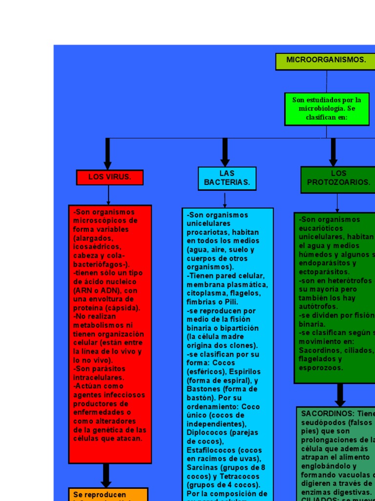 Clasificación y características de microorganismos | PDF | Virus | Las ...