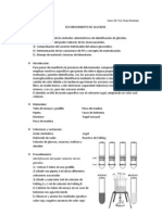 Practica Reconocimiento de Glucidos