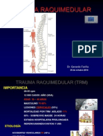 TRM FINAL 25102010 Clase Postgrado