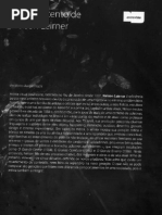 Entrevista - Nelson Leirner