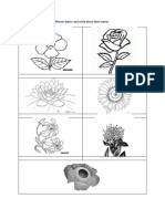 Instructionflowers Worksheet