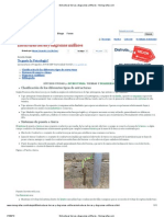 Estructuras Tierras y Diagramas Unifilares - Monografias